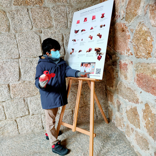Un niño señala un cartel sobre caballete en el que se muestran distintas figuras en papiroflexia y un tutorial.