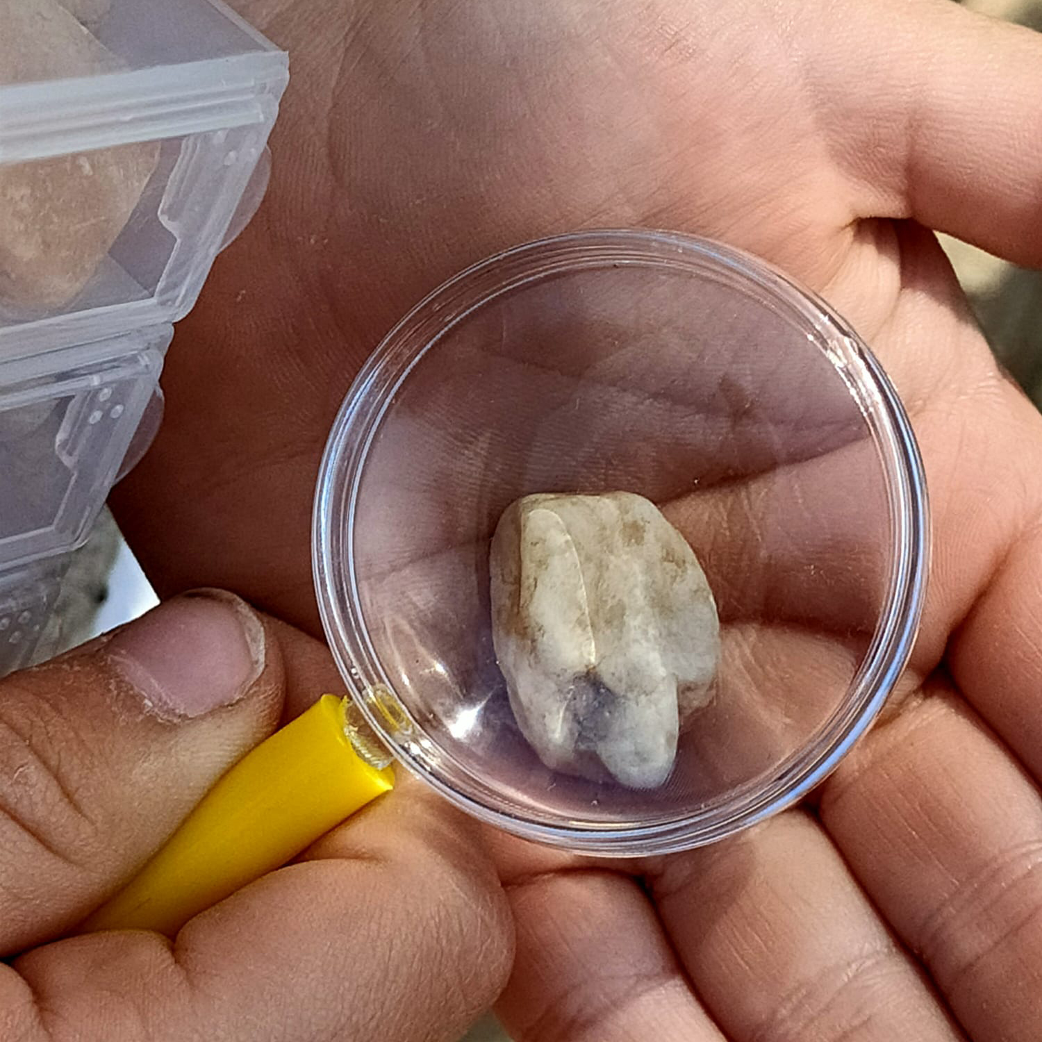 Vista detalle de una mano sosteniendo una piedra bajo una lupa.