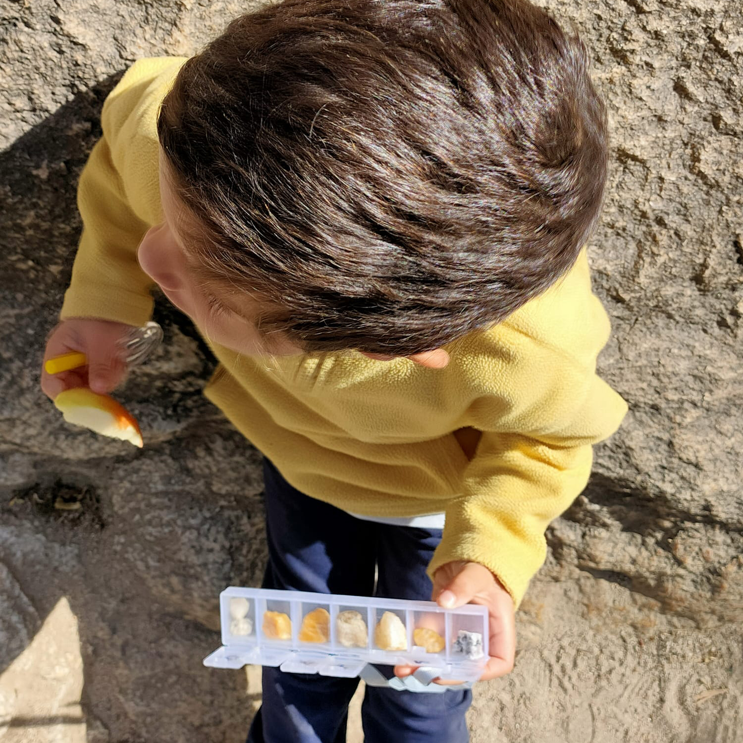 Vista superior de un niño sosteniendo una caja con diferentes tipos de piedras, rocas o minerales.