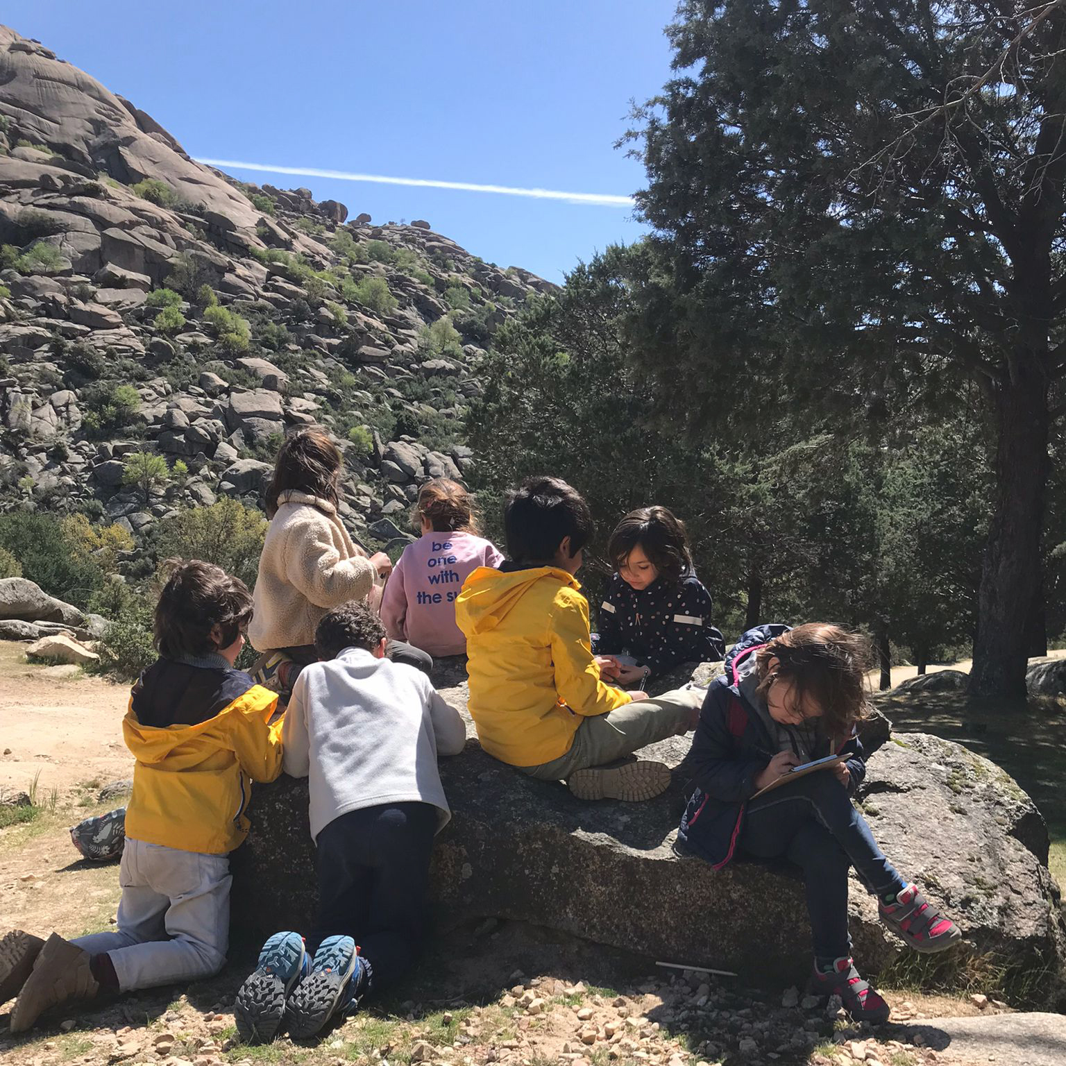 Naturaleza. Vista posterior de un grupo de 7 menores sentados en un suelo rocoso realizando una actividad común. 