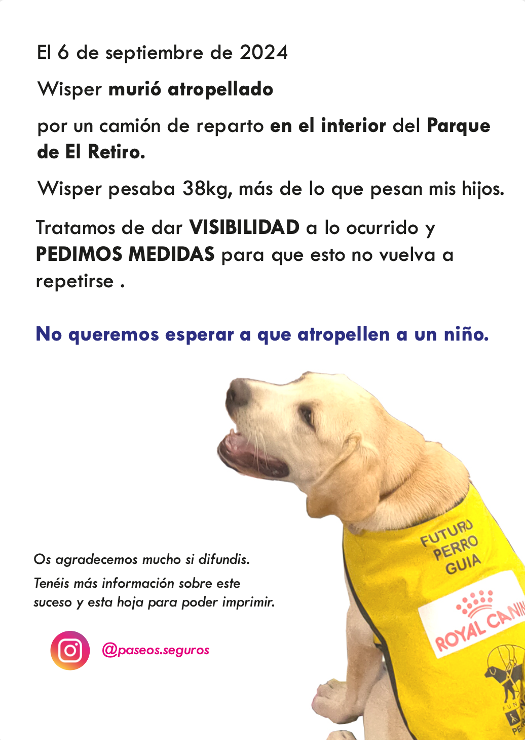 Cartel de la campaña. Junto a una imagen de Wisper, el siguiente texto: El 6 de septiembre de 2024, Wisper murió atropellado por un camión de reparto en el interior del Parque de El Retiro. Wisper pesaba 38 kg, más de lo que pesan mis hijos. Tratamos de dar visibilidad a lo ocurrido y pedimos medidas para que esto no vuelva a repetirse. No queremos esperar a que atropellen a un niño. Os agradecemos mucho si difundís. Tenéis más información sobre este suceso y esta hoja para poder imprimir en la cuenta de Instagram @paseos.seguros.